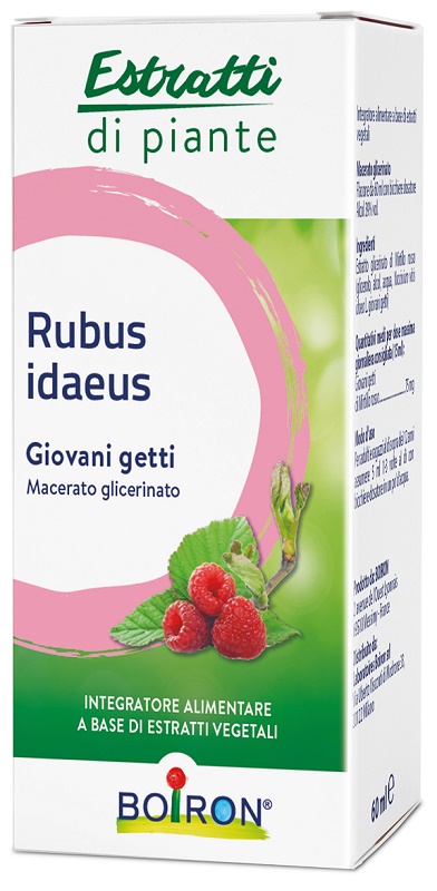 RUBUS IDAEUS GIOVANI GETTI ESTRATTO IDROALCOLICO 60 ML - Antica Farmacia Ferrari
