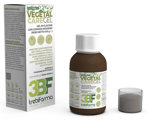 VEGETAL CARE GEL FLACONE 100 G - Oltrefarma