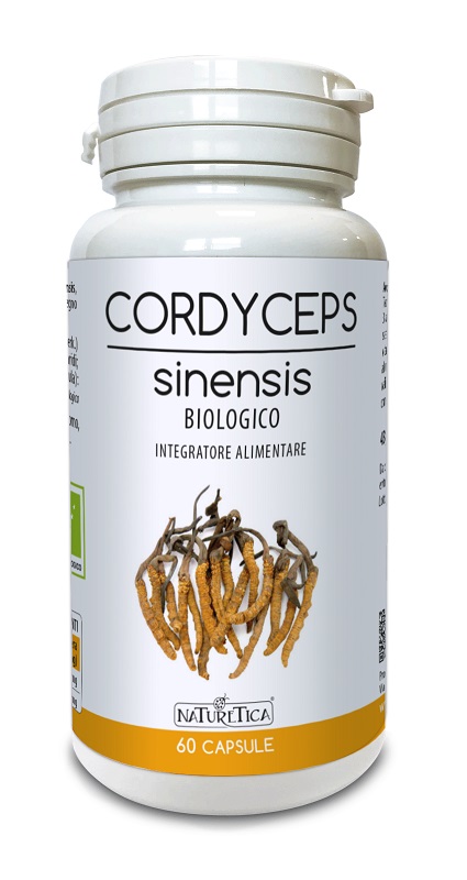 CORDYCEPS SINENSIS 60 CAPSULE - Oltrefarma
