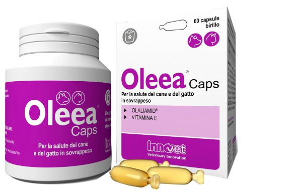OLEEA CAPS 60 CAPSULE - Antica Farmacia Ferrari