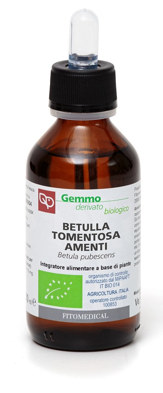 BETULLA PUBESCENS AMENTI MACERATO GLICERICO 100 ML BIO - Oltrefarma