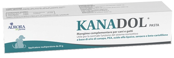 KANADOL PASTA 30 G - Antica Farmacia Ferrari