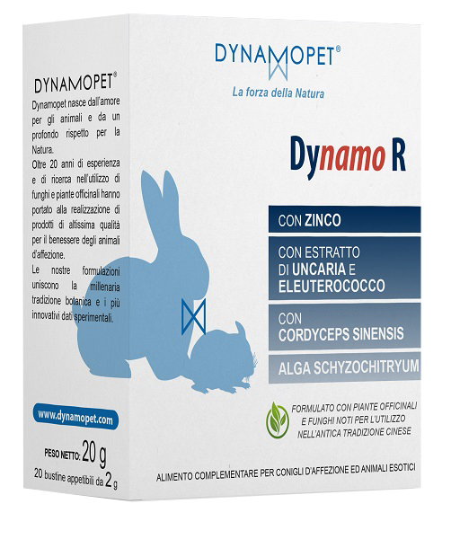 DYNAMO R 20 BUSTINE DA 2 G - Oltrefarma
