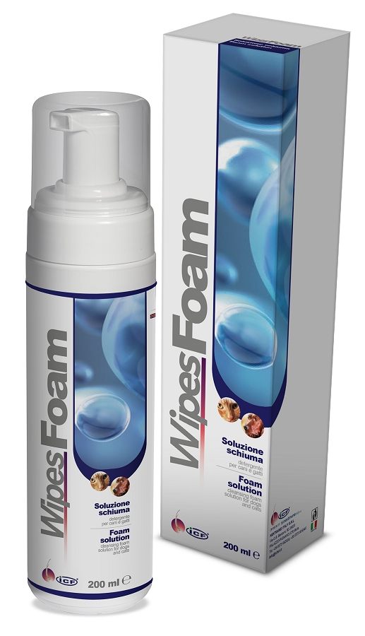 WIPES FOAM 200 ML - Oltrefarma