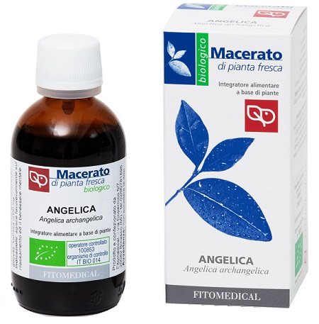 ANGELICA TINTURA MADRE 50 ML BIO - Oltrefarma