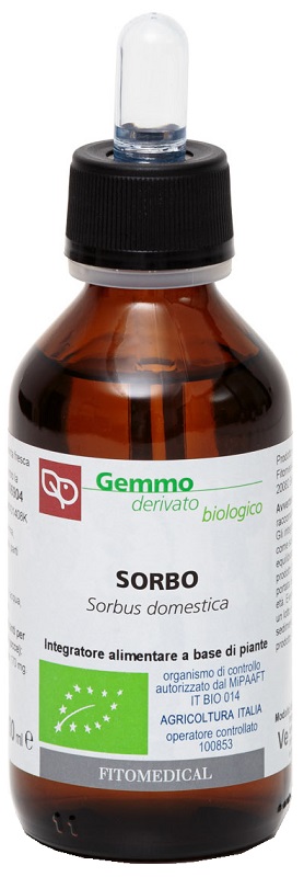 SORBO MACERATO GLICERICO 100 ML BIO - Oltrefarma