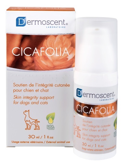 DERMOSCENT CICAFOLIA FOR DOGS AND CATS 30 ML - Antica Farmacia Ferrari
