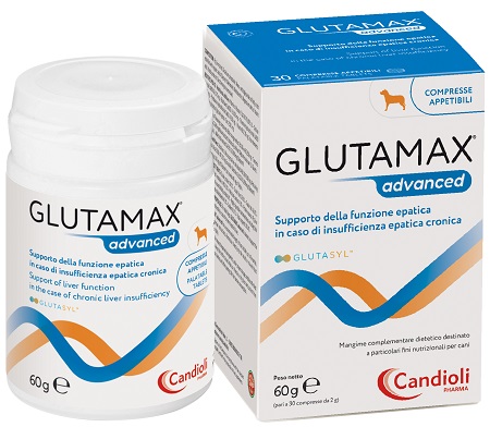 GLUTAMAX ADVANCED 30 COMPRESSE - Oltrefarma