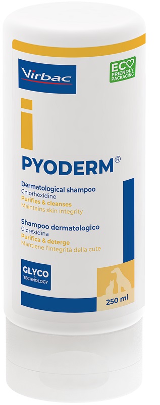 PYODERM SHAMPOO 250 ML - Oltrefarma