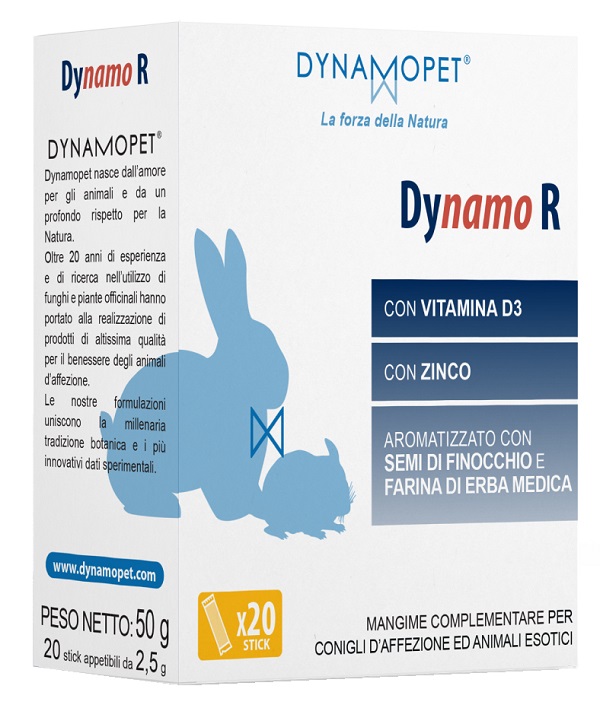 DYNAMO R 20 STICK DA 2,5 G - Oltrefarma